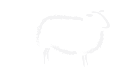 Pecora-Yarrawa Logo-04.png